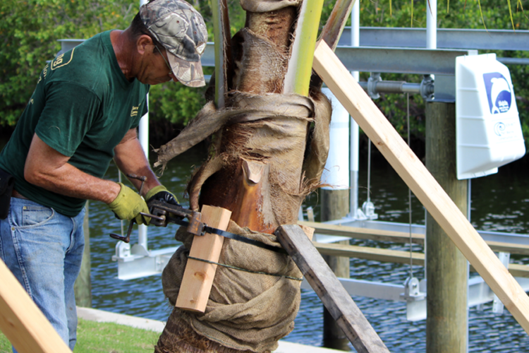 Terra Landscaping Residential Property_4 Terra Landscaping Residential Property_4