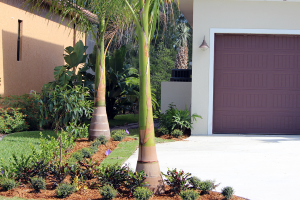 Backyard Landscaping – Terra Landscaping Punta Gorda FL